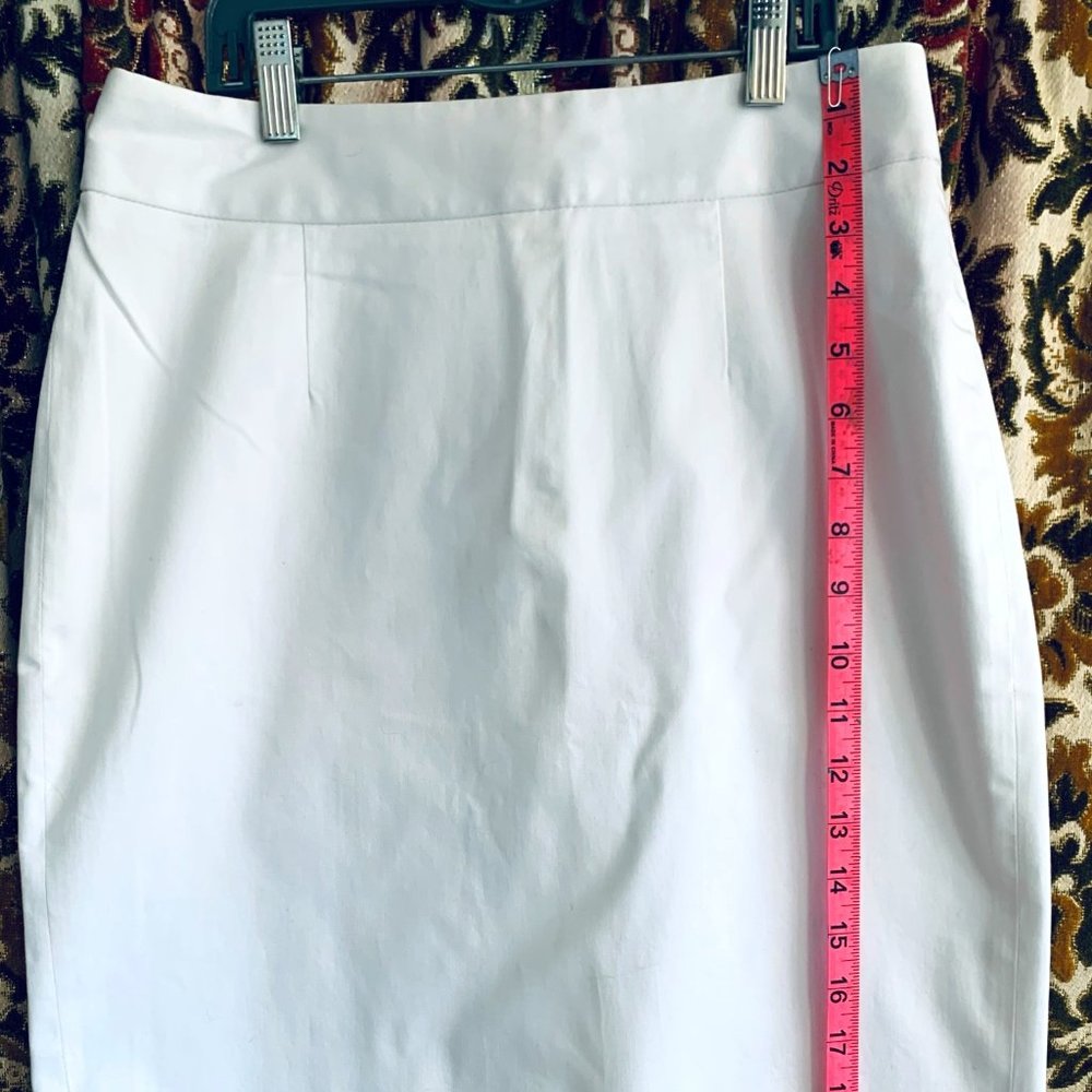Banana Republic Skirt